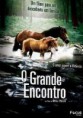 /album/aventura-12/o-grande-emcontro-jpg/